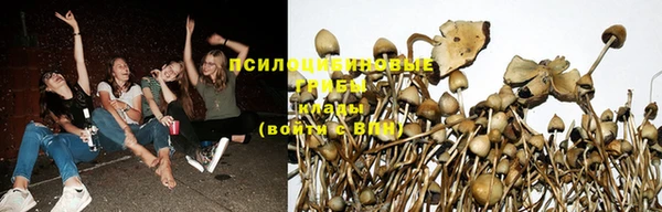ешки Бугульма