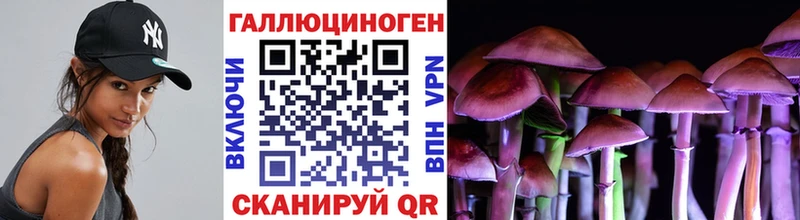 Галлюциногенные грибы Magic Shrooms  shop состав  Буйнакск 